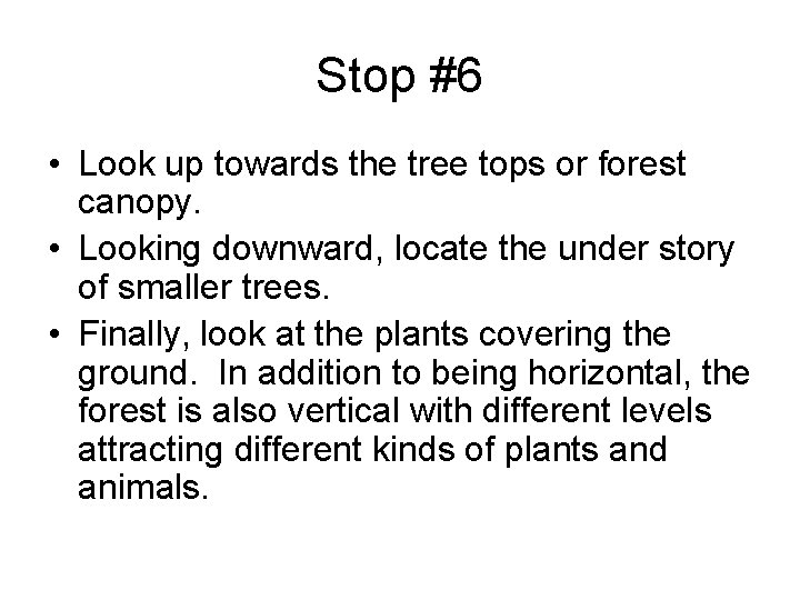 Stop #6 • Look up towards the tree tops or forest canopy. • Looking