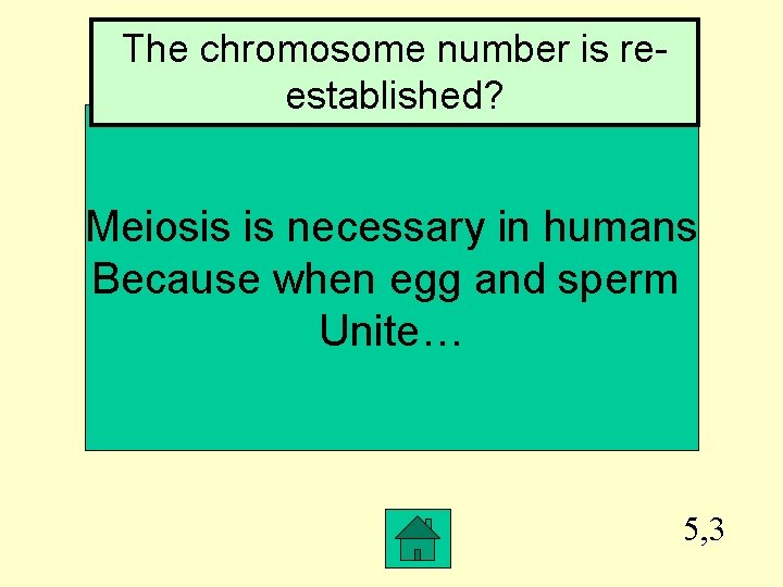 The chromosome number is reestablished? Meiosis is necessary in humans Because when egg and