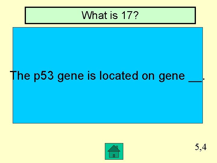 What is 17? The p 53 gene is located on gene __. 5, 4
