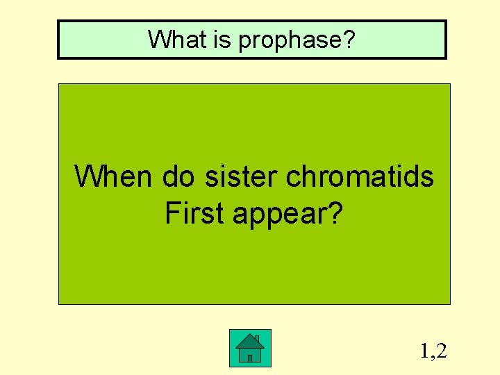 What is prophase? When do sister chromatids First appear? 1, 2 