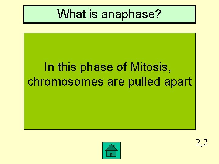 What is anaphase? In this phase of Mitosis, chromosomes are pulled apart 2, 2