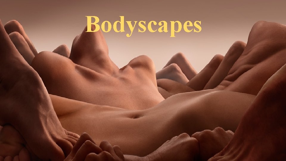 Bodyscapes 