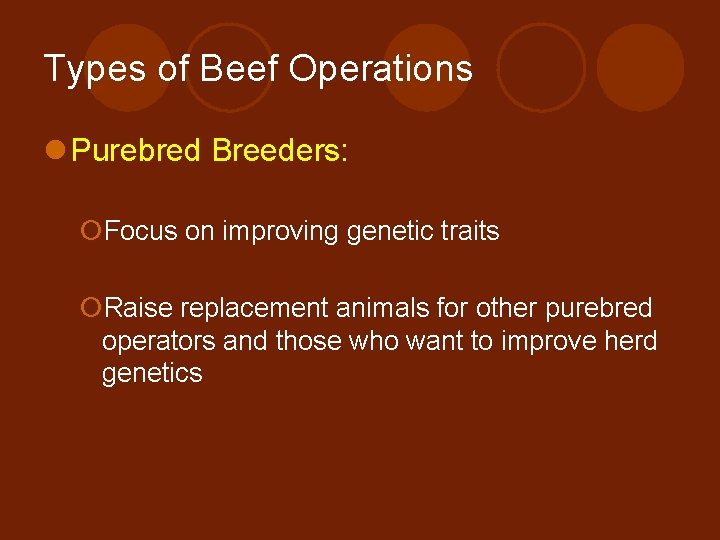 Beef and Dairy Cattle Objectives 1 Label the