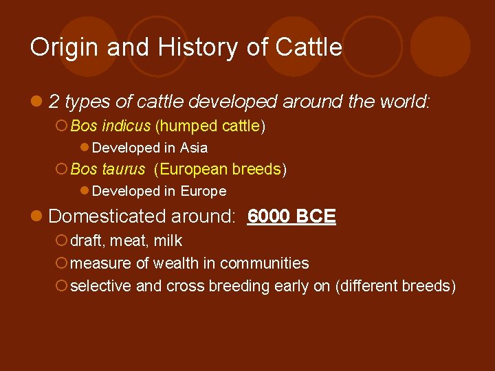 Beef and Dairy Cattle Objectives 1 Label the