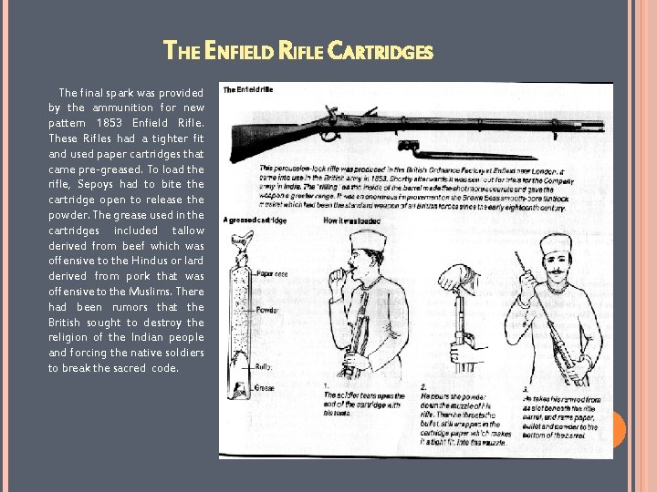 THE ENFIELD RIFLE CARTRIDGES The final spark was provided by the ammunition for new