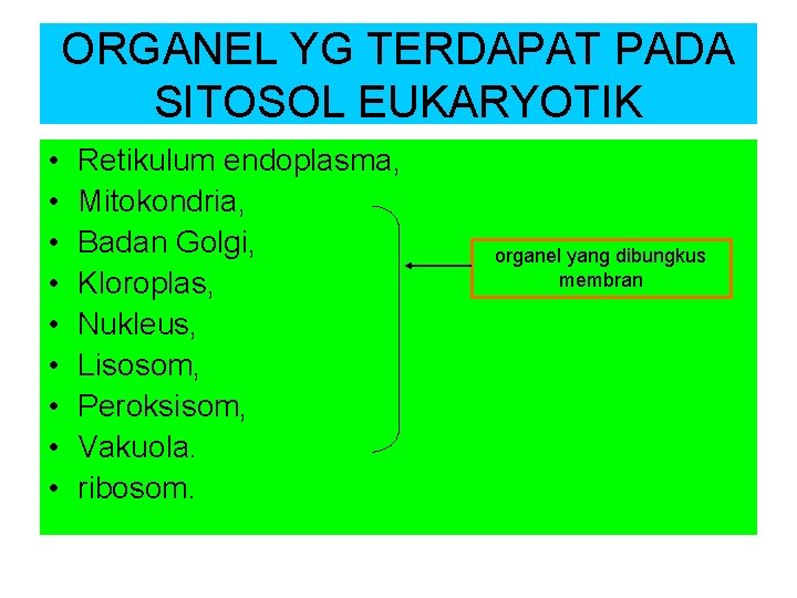 ORGANEL YG TERDAPAT PADA SITOSOL EUKARYOTIK • • • Retikulum endoplasma, Mitokondria, Badan Golgi,