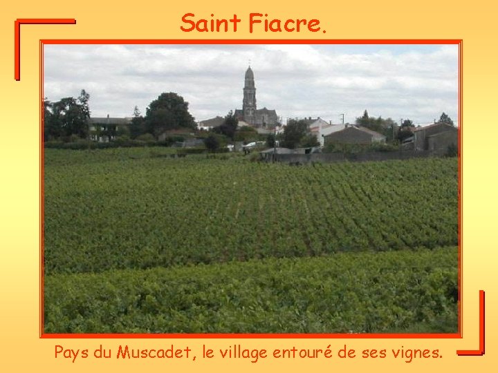 Saint Fiacre. Pays du Muscadet, le village entouré de ses vignes. 