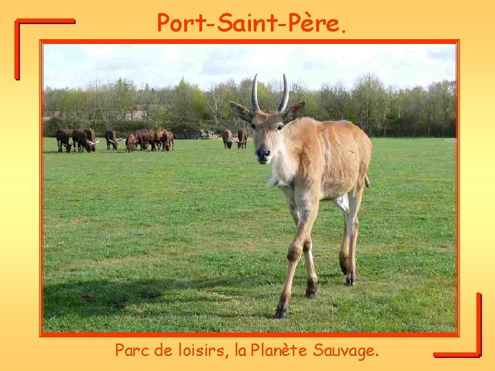 Port-Saint-Père. Parc de loisirs, la Planète Sauvage. 