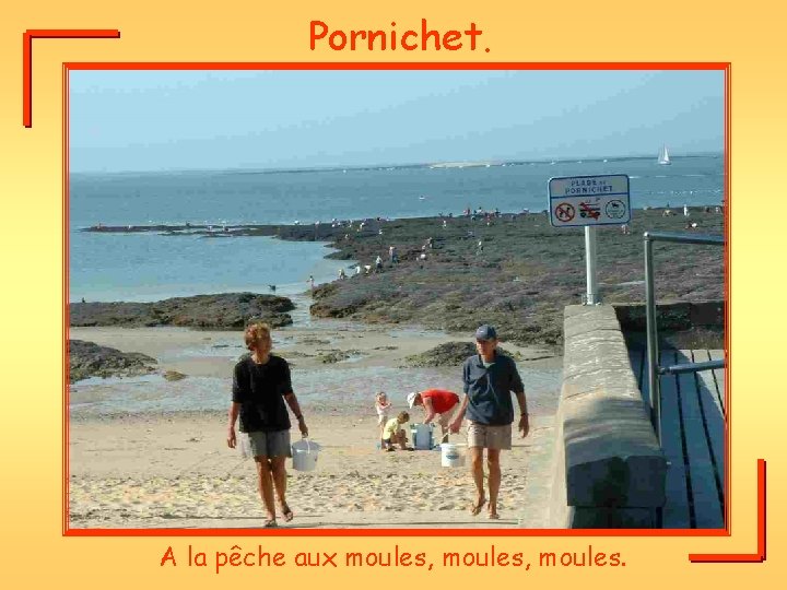 Pornichet. A la pêche aux moules, moules. 