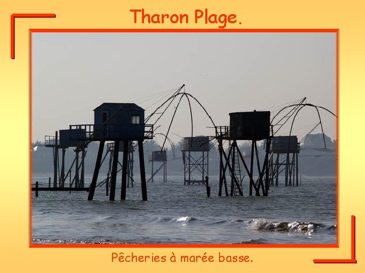 Tharon Plage. Pêcheries à marée basse. 