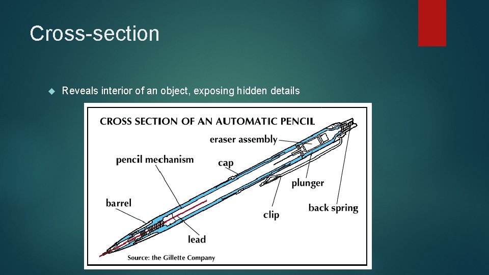 Cross-section Reveals interior of an object, exposing hidden details 