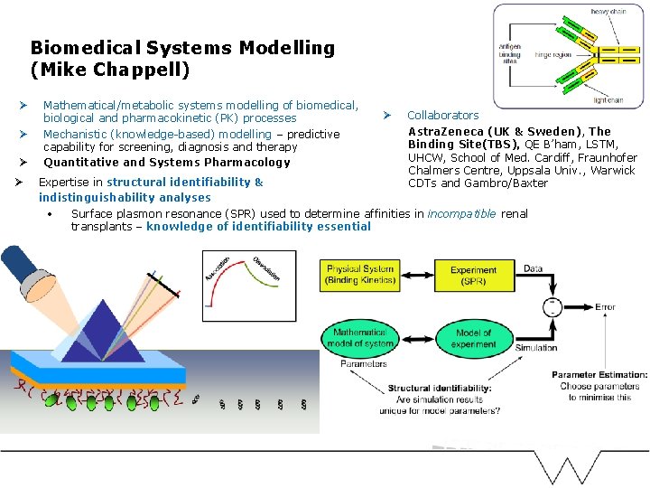 Biomedical Systems Modelling (Mike Chappell) Ø Ø Mathematical/metabolic systems modelling of biomedical, biological and Biomedical Systems Modelling (Mike Chappell) Ø Ø Mathematical/metabolic systems modelling of biomedical, biological and