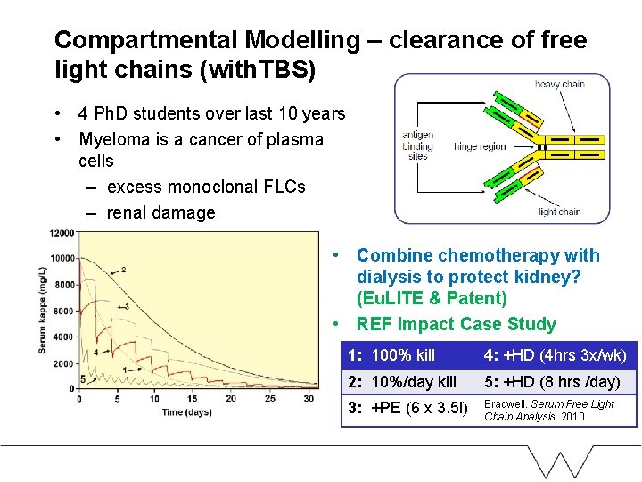 Compartmental Modelling – clearance of free light chains (with. TBS) • 4 Ph. D Compartmental Modelling – clearance of free light chains (with. TBS) • 4 Ph. D