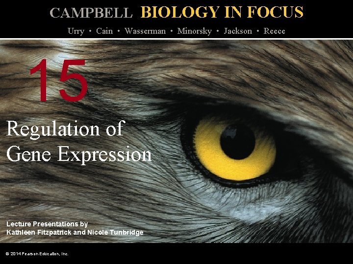 CAMPBELL BIOLOGY IN FOCUS Urry • Cain • Wasserman • Minorsky • Jackson •