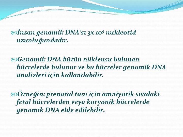  İnsan genomik DNA’sı 3 x 109 nukleotid uzunluğundadır. Genomik DNA bütün nükleusu bulunan