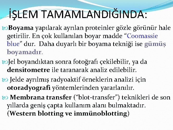 İŞLEM TAMAMLANDIĞINDA: Boyama yapılarak ayrılan proteinler gözle görünür hale getirilir. En çok kullanılan boyar