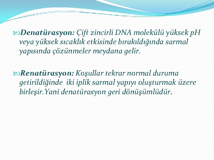  Denatürasyon: Çift zincirli DNA molekülü yüksek p. H veya yüksek sıcaklık etkisinde bırakıldığında