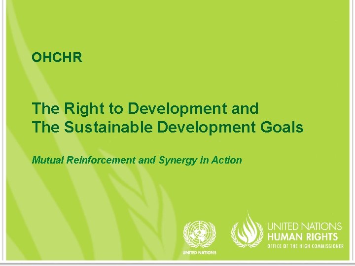 OHCHR The Right to Development and The Sustainable Development Goals Mutual Reinforcement and Synergy