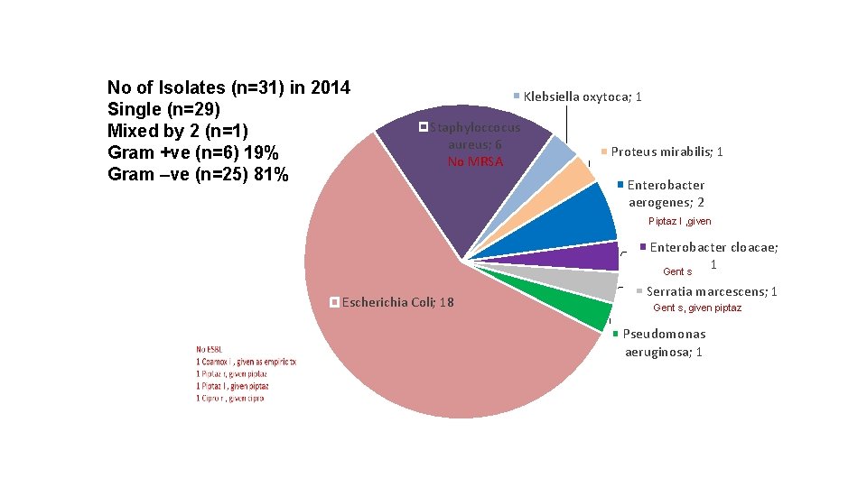 No of Isolates (n=31) in 2014 Single (n=29) Mixed by 2 (n=1) Gram +ve