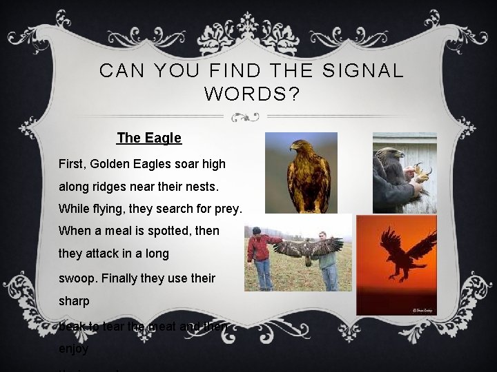 CAN YOU FIND THE SIGNAL WORDS? The Eagle First, Golden Eagles soar high along
