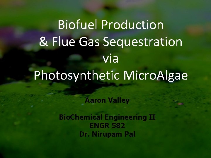 Biofuel Production & Flue Gas Sequestration via Photosynthetic Micro. Algae Aaron Valley Bio. Chemical