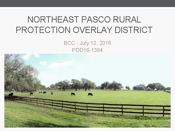 NORTHEAST PASCO RURAL PROTECTION OVERLAY DISTRICT BCC : July 12, 2016 PDD 16 -1384