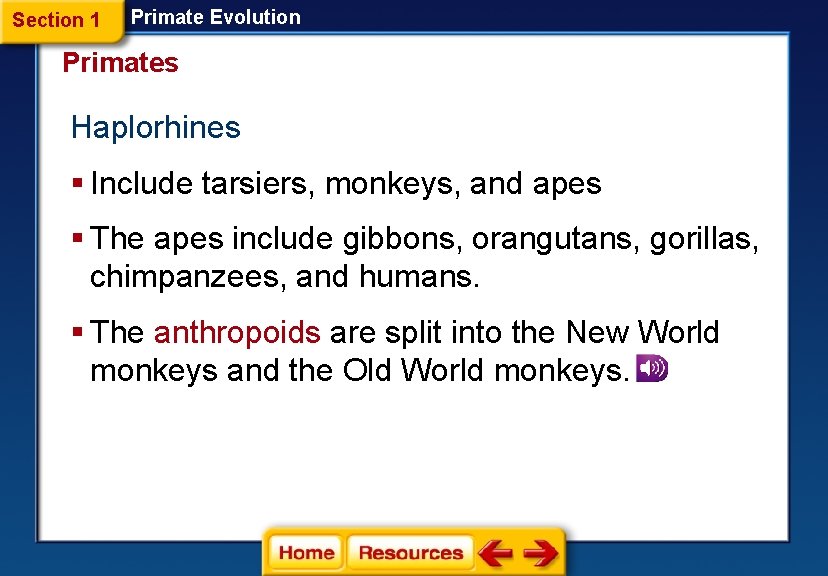 Section 1 Primate Evolution Primates Haplorhines § Include tarsiers, monkeys, and apes § The