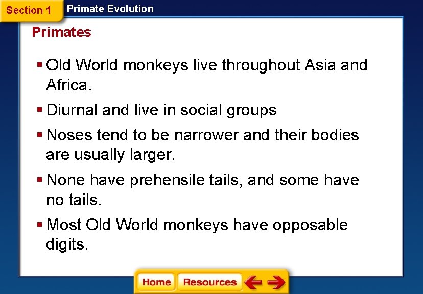 Section 1 Primate Evolution Primates § Old World monkeys live throughout Asia and Africa.
