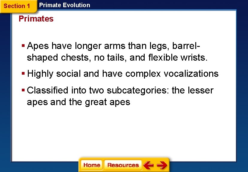 Section 1 Primate Evolution Primates § Apes have longer arms than legs, barrelshaped chests,