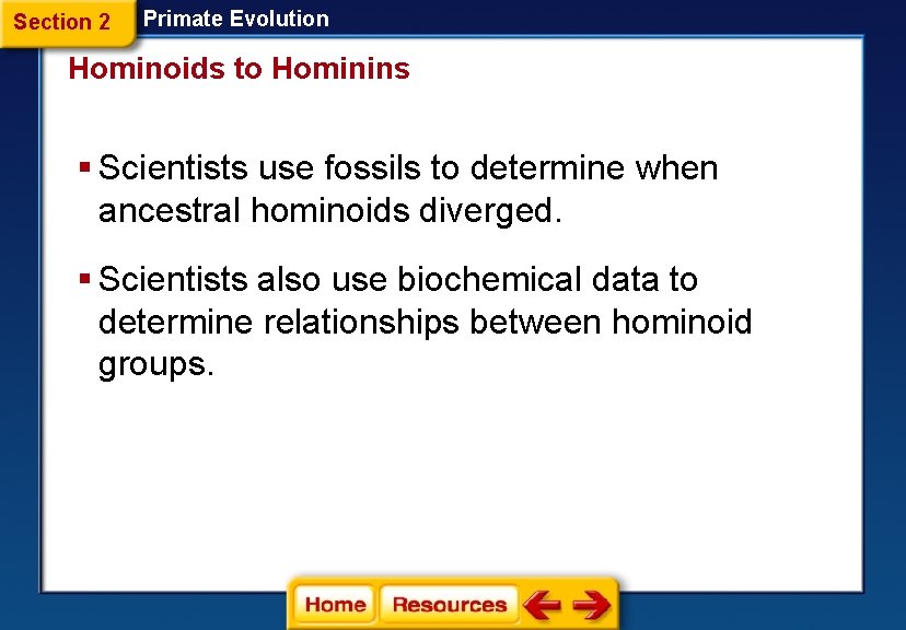 Section 2 Primate Evolution Hominoids to Hominins § Scientists use fossils to determine when