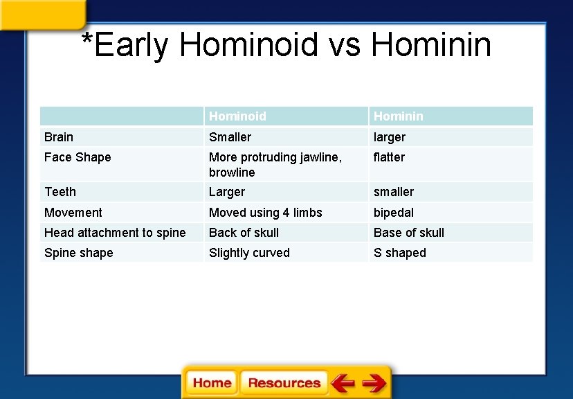 *Early Hominoid vs Hominin Hominoid Hominin Brain Smaller larger Face Shape More protruding jawline,