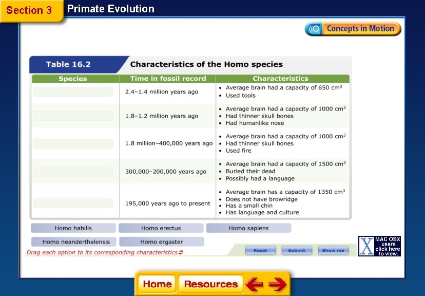 Section 3 Primate Evolution 