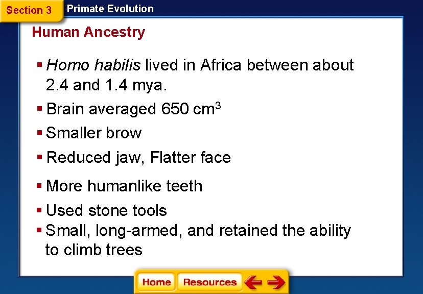 Section 3 Primate Evolution Human Ancestry § Homo habilis lived in Africa between about