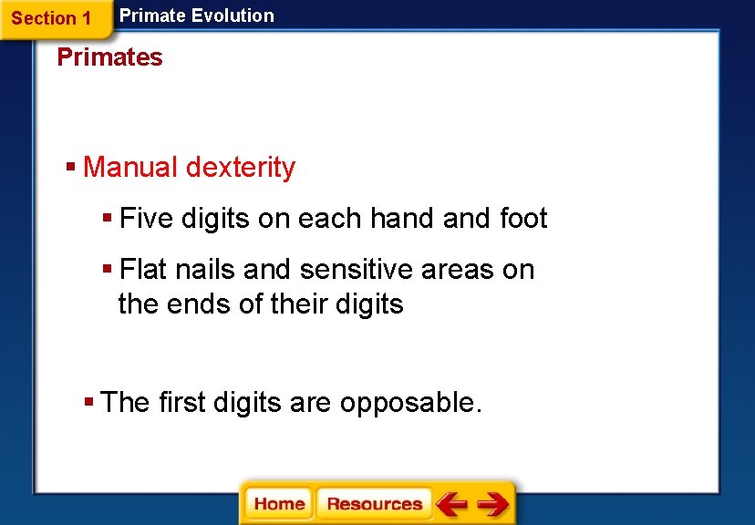 Section 1 Primate Evolution Primates § Manual dexterity § Five digits on each hand