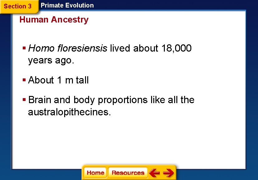 Section 3 Primate Evolution Human Ancestry § Homo floresiensis lived about 18, 000 years