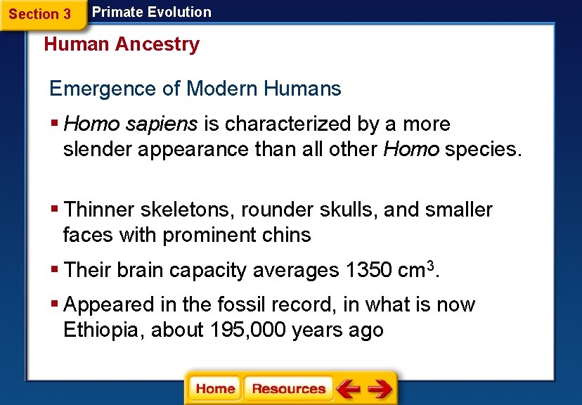 Section 3 Primate Evolution Human Ancestry Emergence of Modern Humans § Homo sapiens is
