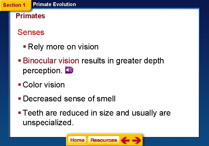 Section 1 Primate Evolution Primates Senses § Rely more on vision § Binocular vision