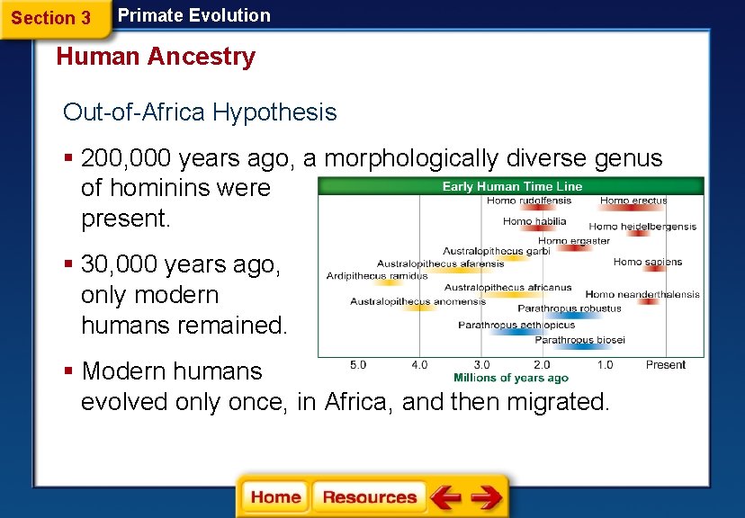 Section 3 Primate Evolution Human Ancestry Out-of-Africa Hypothesis § 200, 000 years ago, a
