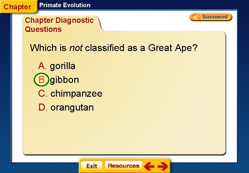 Chapter Primate Evolution Chapter Diagnostic Questions Which is not classified as a Great Ape?