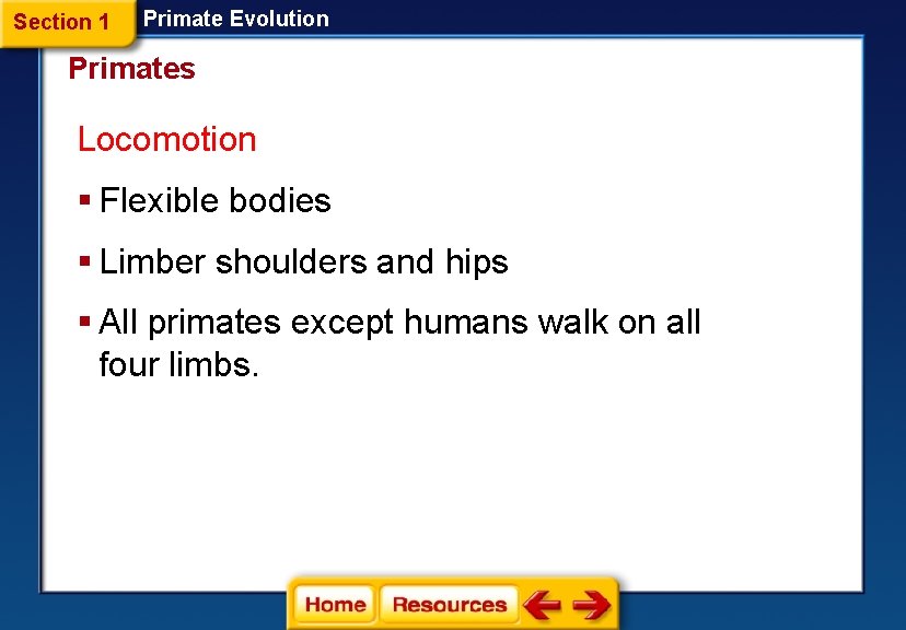 Section 1 Primate Evolution Primates Locomotion § Flexible bodies § Limber shoulders and hips