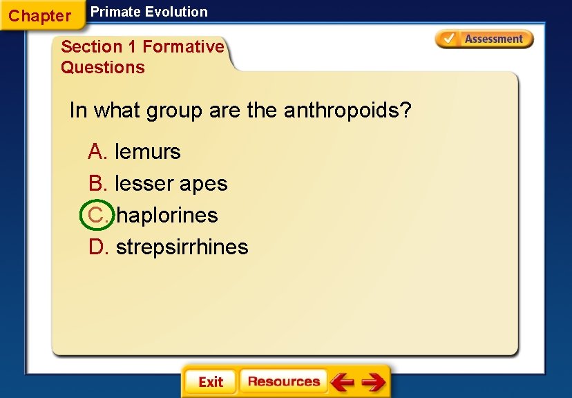 Chapter Primate Evolution Section 1 Formative Questions In what group are the anthropoids? A.