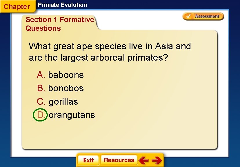 Chapter Primate Evolution Section 1 Formative Questions What great ape species live in Asia