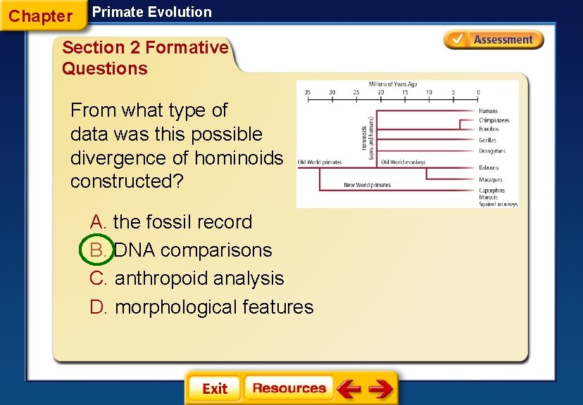 Chapter Primate Evolution Section 2 Formative Questions From what type of data was this