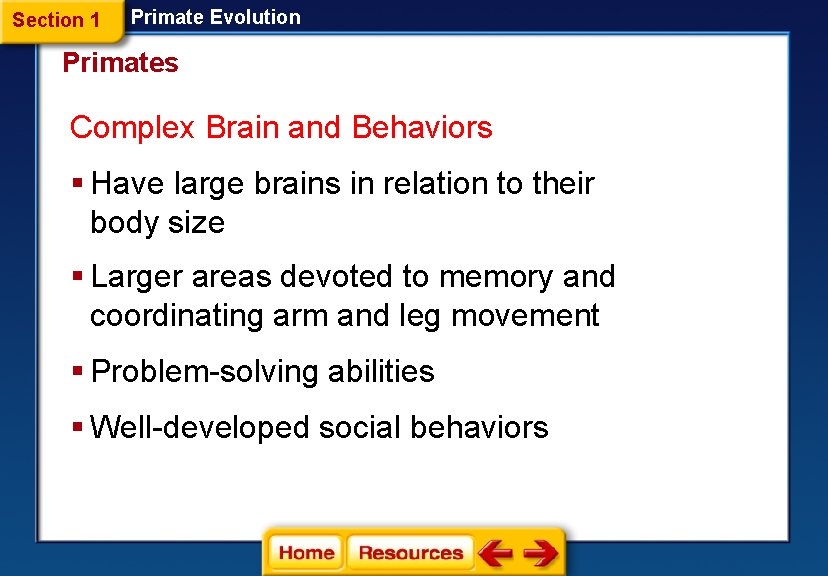 Section 1 Primate Evolution Primates Complex Brain and Behaviors § Have large brains in