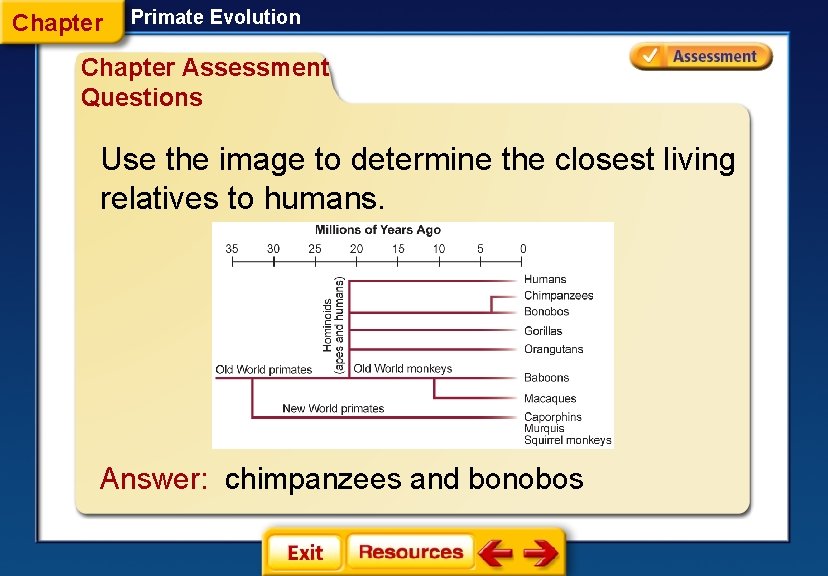 Chapter Primate Evolution Chapter Assessment Questions Use the image to determine the closest living