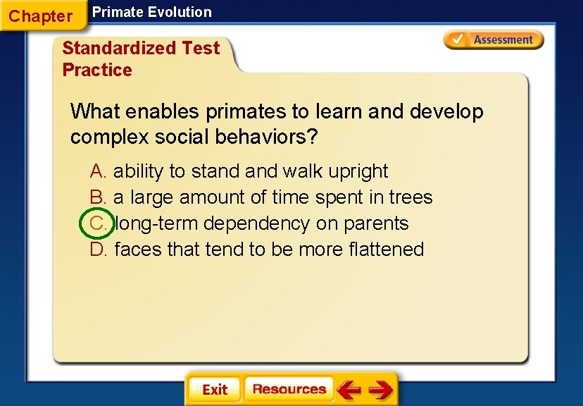 Chapter Primate Evolution Standardized Test Practice What enables primates to learn and develop complex
