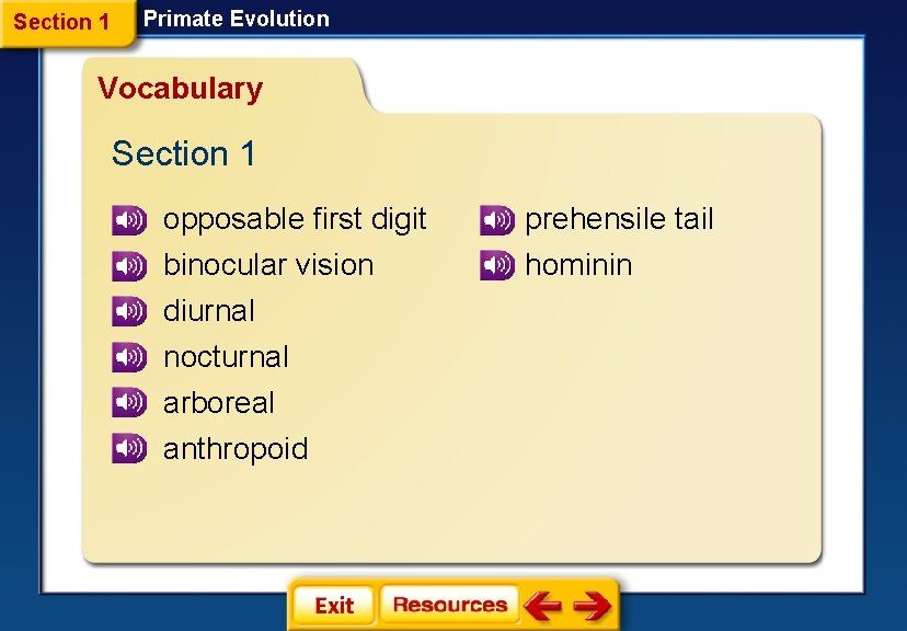 Section 1 Primate Evolution Vocabulary Section 1 opposable first digit prehensile tail binocular vision