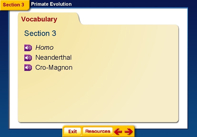 Section 3 Primate Evolution Vocabulary Section 3 Homo Neanderthal Cro-Magnon 