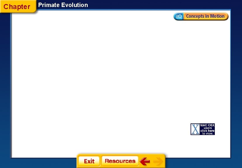 Chapter Primate Evolution 