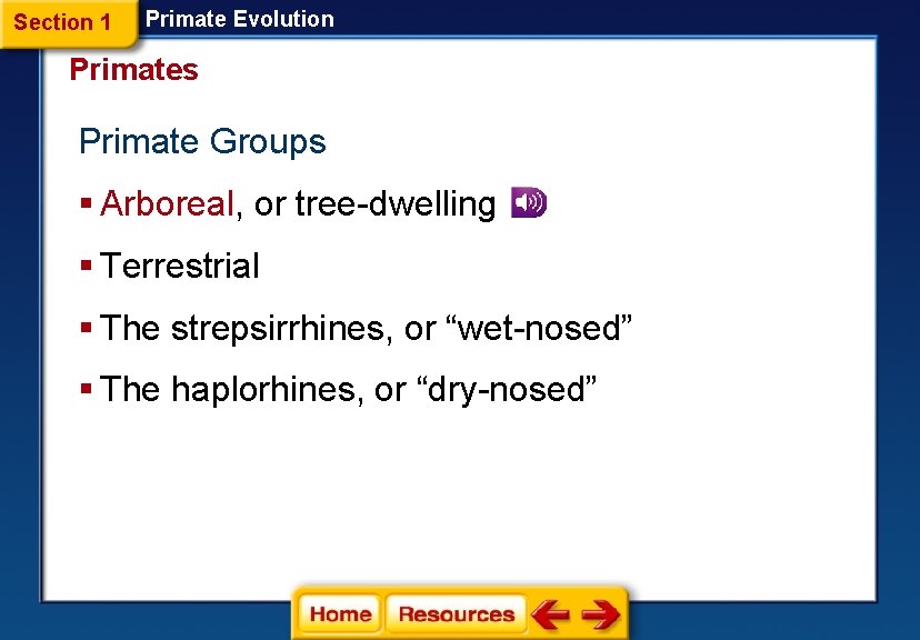 Section 1 Primate Evolution Primates Primate Groups § Arboreal, or tree-dwelling § Terrestrial §